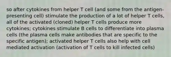 so after cytokines from helper T cell (and some from the antigen-presenting cell) stimulate the production of a lot of helper T cells, all of the activated (cloned) helper T cells produce more cytokines; cytokines stimulate B cells to differentiate into plasma cells (the plasma cells make antibodies that are specific to the specific antigen); activated helper T cells also help with cell mediated activation (activation of T cells to kill infected cells)