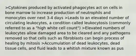 >Cytokines produced by activated phagocytes act on cells in bone marrow to increase production of neutrophils and monocytes over next 3-4 days >Leads to an elevated number of circulating leukocytes, a condition called leukocytosis (commonly referred to as a "high white cell count") >Elevated numbers of leukocytes allow damaged area to be cleared and any pathogens removed so that cells such as fibroblasts can begin process of healing by mitosis >Accumulation of dead leukocytes, dead tissue cells, and fluid leads to a whitish mixture known as pus