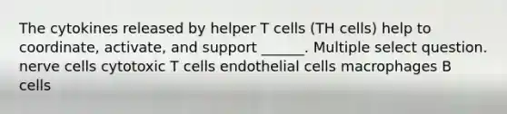 The cytokines released by helper T cells (TH cells) help to coordinate, activate, and support ______. Multiple select question. nerve cells cytotoxic T cells endothelial cells macrophages B cells