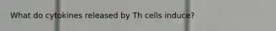 What do cytokines released by Th cells induce?