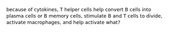 because of cytokines, T helper cells help convert B cells into plasma cells or B memory cells, stimulate B and T cells to divide, activate macrophages, and help activate what?