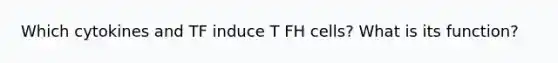 Which cytokines and TF induce T FH cells? What is its function?