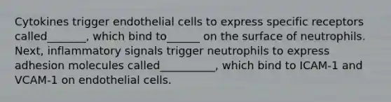 Cytokines trigger endothelial cells to express specific receptors called_______, which bind to______ on the surface of neutrophils. Next, inflammatory signals trigger neutrophils to express adhesion molecules called__________, which bind to ICAM-1 and VCAM-1 on endothelial cells.