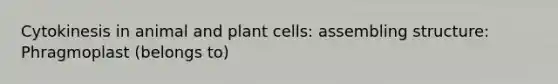 Cytokinesis in animal and plant cells: assembling structure: Phragmoplast (belongs to)