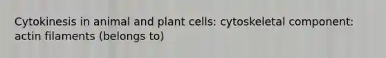 Cytokinesis in animal and plant cells: cytoskeletal component: actin filaments (belongs to)