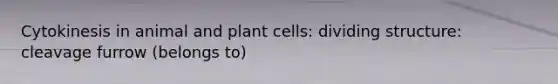 Cytokinesis in animal and plant cells: dividing structure: cleavage furrow (belongs to)