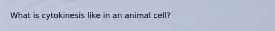 What is cytokinesis like in an animal cell?