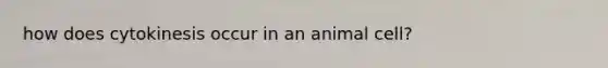 how does cytokinesis occur in an animal cell?