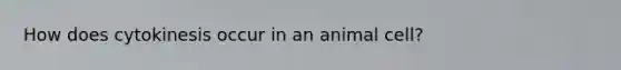 How does cytokinesis occur in an animal cell?