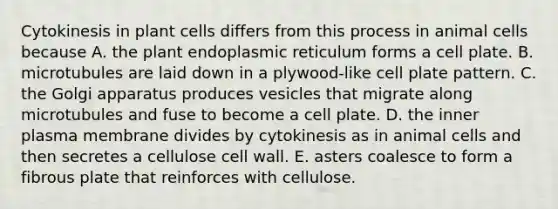 Cytokinesis in plant cells differs from this process in animal cells because A. the plant endoplasmic reticulum forms a cell plate. B. microtubules are laid down in a plywood-like cell plate pattern. C. the Golgi apparatus produces vesicles that migrate along microtubules and fuse to become a cell plate. D. the inner plasma membrane divides by cytokinesis as in animal cells and then secretes a cellulose cell wall. E. asters coalesce to form a fibrous plate that reinforces with cellulose.