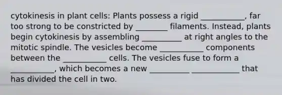 cytokinesis in plant cells: Plants possess a rigid ___________, far too strong to be constricted by ________ filaments. Instead, plants begin cytokinesis by assembling __________ at right angles to the mitotic spindle. The vesicles become ___________ components between the ___________ cells. The vesicles fuse to form a ___________, which becomes a new __________ ____________ that has divided the cell in two.