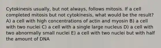 Cytokinesis usually, but not always, follows mitosis. If a cell completed mitosis but not cytokinesis, what would be the result? A) a cell with high concentrations of actin and myosin B) a cell with two nuclei C) a cell with a single large nucleus D) a cell with two abnormally small nuclei E) a cell with two nuclei but with half the amount of DNA