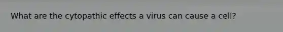 What are the cytopathic effects a virus can cause a cell?