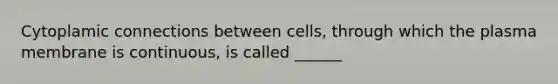 Cytoplamic connections between cells, through which the plasma membrane is continuous, is called ______