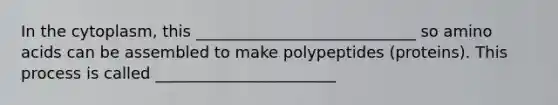 In the cytoplasm, this ____________________________ so <a href='https://www.questionai.com/knowledge/k9gb720LCl-amino-acids' class='anchor-knowledge'>amino acids</a> can be assembled to make polypeptides (proteins). This process is called _______________________