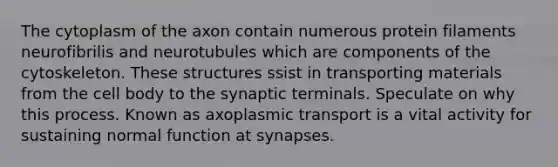 The cytoplasm of the axon contain numerous protein filaments neurofibrilis and neurotubules which are components of the cytoskeleton. These structures ssist in transporting materials from the cell body to the synaptic terminals. Speculate on why this process. Known as axoplasmic transport is a vital activity for sustaining normal function at synapses.