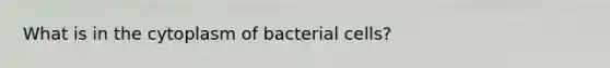 What is in the cytoplasm of bacterial cells?