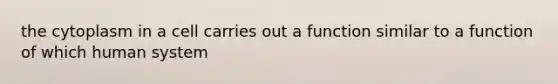 the cytoplasm in a cell carries out a function similar to a function of which human system