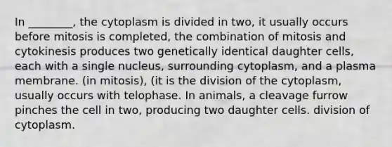 In ________, the cytoplasm is divided in two, it usually occurs before mitosis is completed, the combination of mitosis and cytokinesis produces two genetically identical daughter cells, each with a single nucleus, surrounding cytoplasm, and a plasma membrane. (in mitosis), (it is the division of the cytoplasm, usually occurs with telophase. In animals, a cleavage furrow pinches the cell in two, producing two daughter cells. division of cytoplasm.