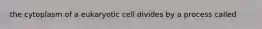 the cytoplasm of a eukaryotic cell divides by a process called