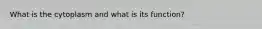 What is the cytoplasm and what is its function?