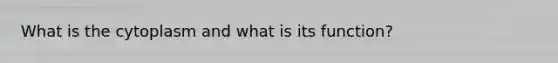 What is the cytoplasm and what is its function?