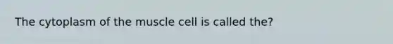 The cytoplasm of the muscle cell is called the?