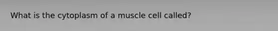 What is the cytoplasm of a muscle cell called?