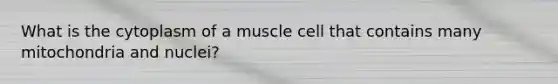 What is the cytoplasm of a muscle cell that contains many mitochondria and nuclei?