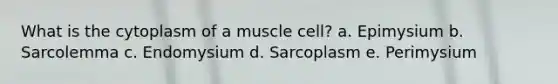 What is the cytoplasm of a muscle cell? a. Epimysium b. Sarcolemma c. Endomysium d. Sarcoplasm e. Perimysium