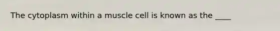 The cytoplasm within a muscle cell is known as the ____