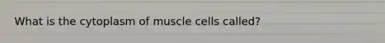 What is the cytoplasm of muscle cells called?