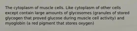 The cytoplasm of muscle cells. Like cytoplasm of other cells except contain large amounts of glycosomes (granules of stored glycogen that proved glucose during muscle cell activity) and myoglobin (a red pigment that stores oxygen)