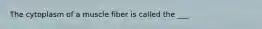 The cytoplasm of a muscle fiber is called the ___