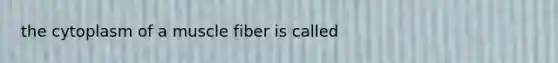 the cytoplasm of a muscle fiber is called