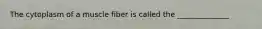 The cytoplasm of a muscle fiber is called the ______________