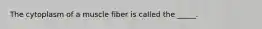 The cytoplasm of a muscle fiber is called the _____.