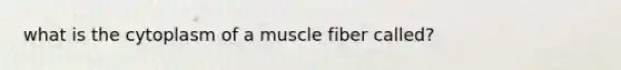 what is the cytoplasm of a muscle fiber called?