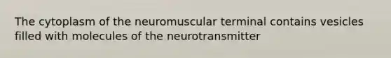 The cytoplasm of the neuromuscular terminal contains vesicles filled with molecules of the neurotransmitter