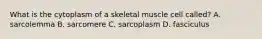 What is the cytoplasm of a skeletal muscle cell called? A. sarcolemma B. sarcomere C. sarcoplasm D. fasciculus