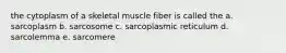 the cytoplasm of a skeletal muscle fiber is called the a. sarcoplasm b. sarcosome c. sarcoplasmic reticulum d. sarcolemma e. sarcomere