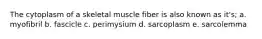 The cytoplasm of a skeletal muscle fiber is also known as it's; a. myofibril b. fascicle c. perimysium d. sarcoplasm e. sarcolemma