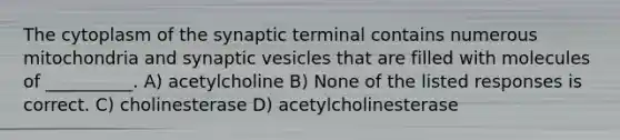 The cytoplasm of the synaptic terminal contains numerous mitochondria and synaptic vesicles that are filled with molecules of __________. A) acetylcholine B) None of the listed responses is correct. C) cholinesterase D) acetylcholinesterase