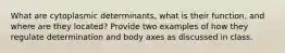 What are cytoplasmic determinants, what is their function, and where are they located? Provide two examples of how they regulate determination and body axes as discussed in class.