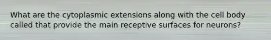 What are the cytoplasmic extensions along with the cell body called that provide the main receptive surfaces for neurons?