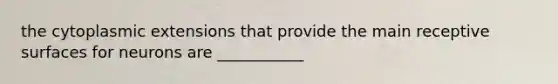 the cytoplasmic extensions that provide the main receptive surfaces for neurons are ___________