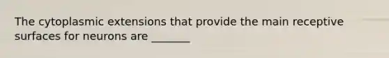 The cytoplasmic extensions that provide the main receptive surfaces for neurons are _______