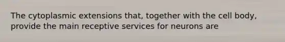 The cytoplasmic extensions that, together with the cell body, provide the main receptive services for neurons are