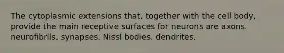 The cytoplasmic extensions that, together with the cell body, provide the main receptive surfaces for neurons are axons. neurofibrils. synapses. Nissl bodies. dendrites.