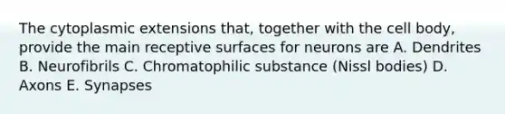 The cytoplasmic extensions that, together with the cell body, provide the main receptive surfaces for neurons are A. Dendrites B. Neurofibrils C. Chromatophilic substance (Nissl bodies) D. Axons E. Synapses